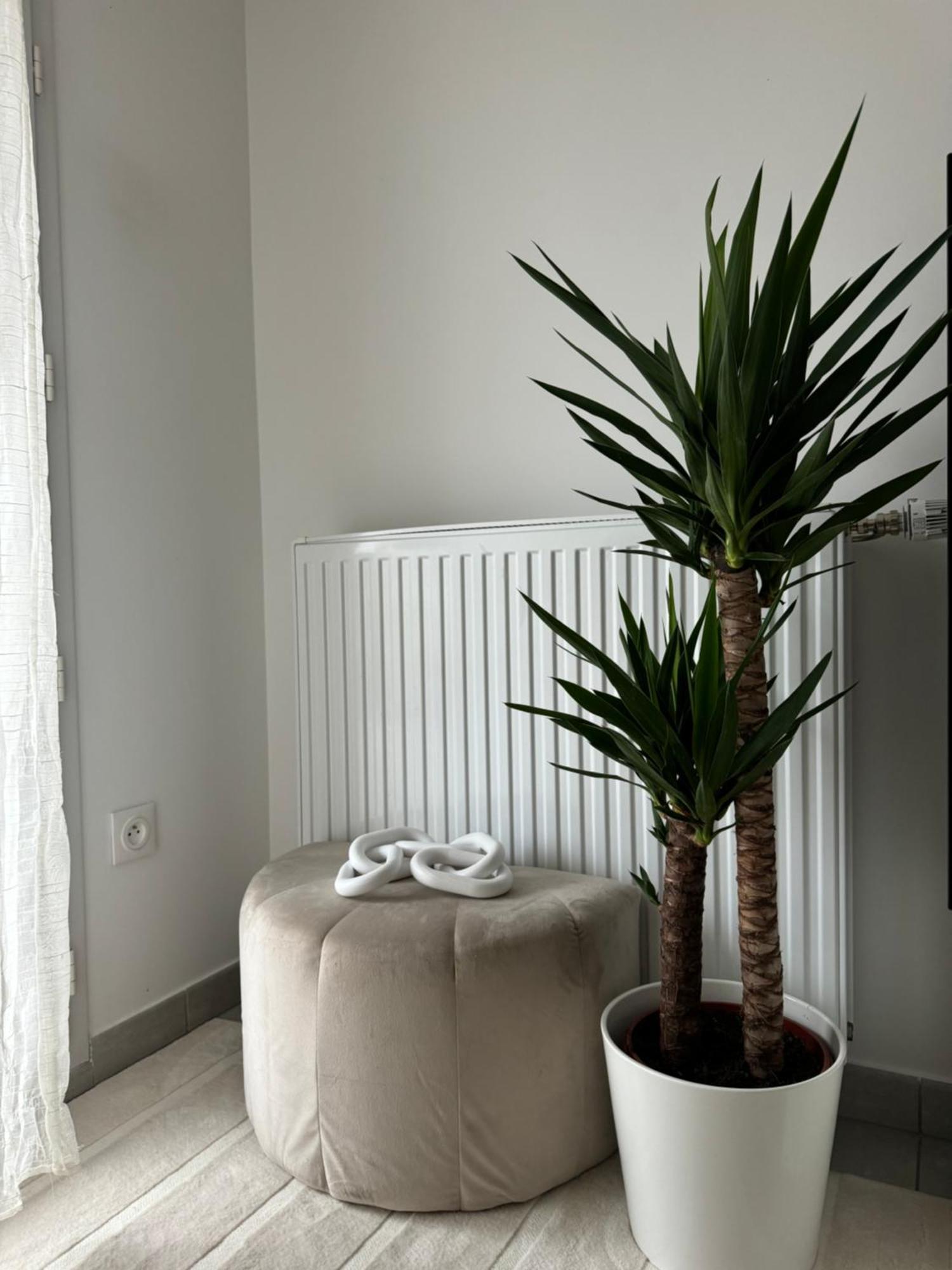 Superbe Appartement - Near Paris Corbeil-Essonnes Extérieur photo